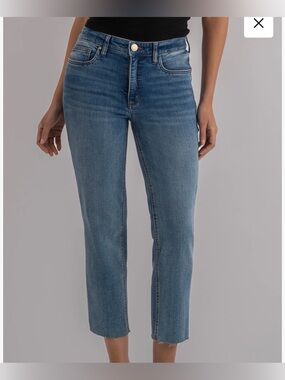 Kut from the Kloth High Rise Fab Ab Mom Jeans